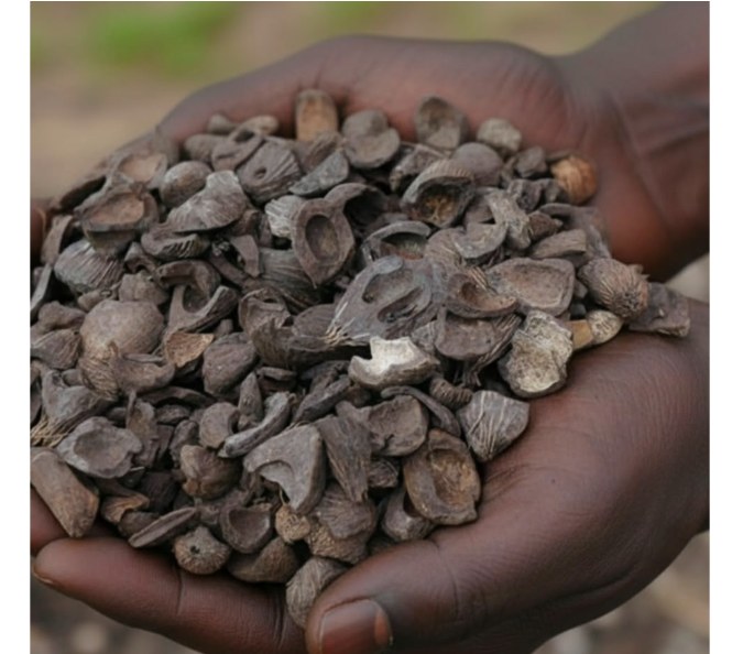 Alpha Blessed Auto Ltd — agricultural export